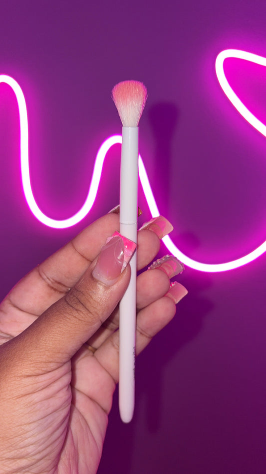 Cleansing brush