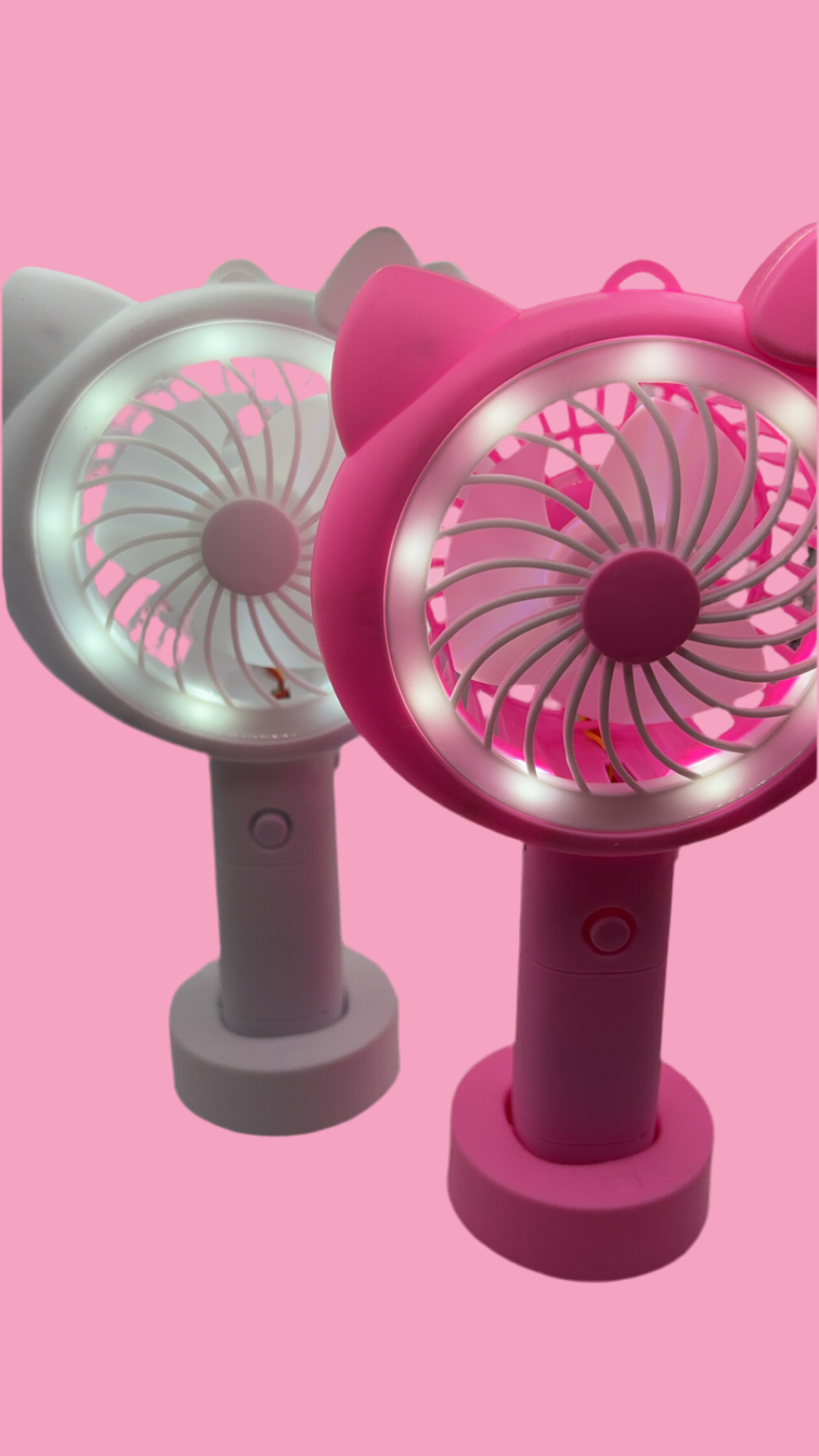 Hello kitty fans